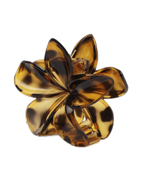 Plumeria CLARITY BIG Brun