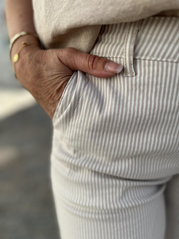 Rex shorts Beige / Striper