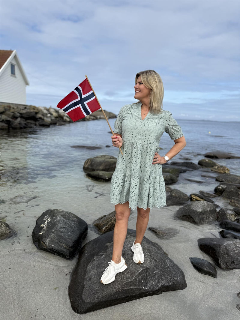 HOLI SS DRESS Grønn