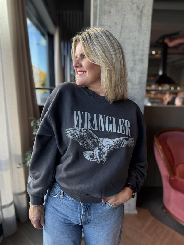 OVERSIZED SWEAT Grå