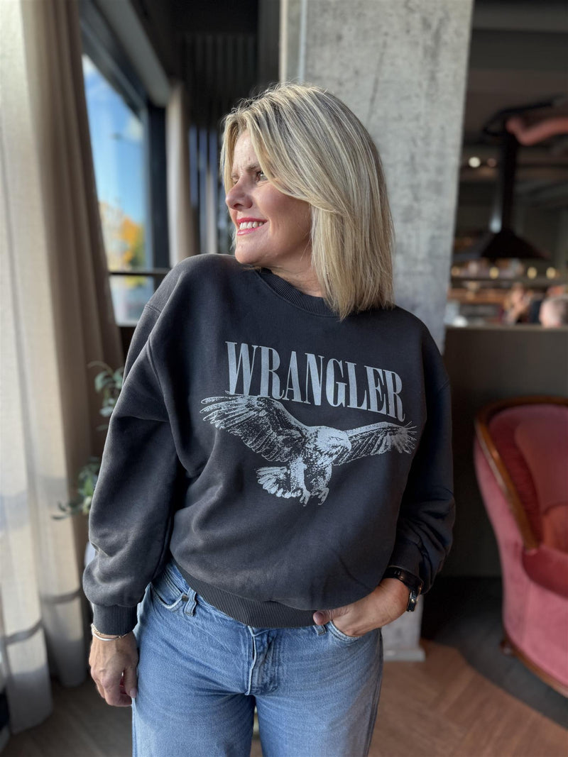 OVERSIZED SWEAT Grå