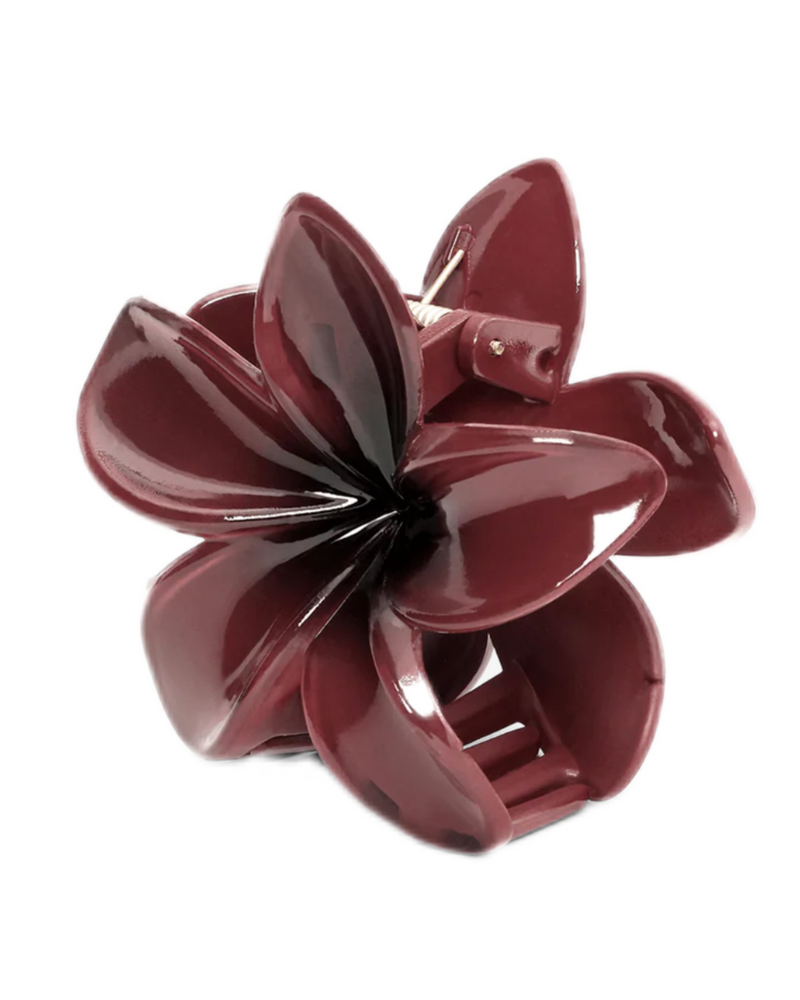 Plumeria BERRY BIG Burgunder